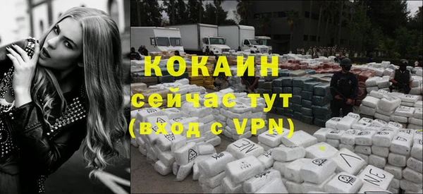 дживик Алзамай